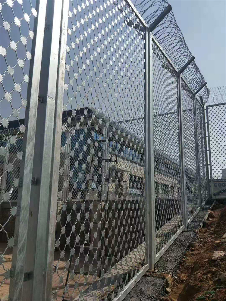 山東監獄熱鍍鋅梅花刺片隔離網生產安裝圖片2